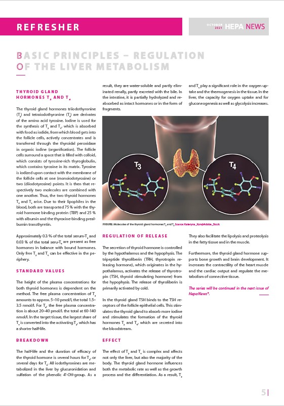 Basic principles: Regulation of the liver metabolism
